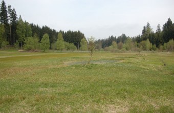 LBV-Schutzgebiet Kainzbachtal | © LBV