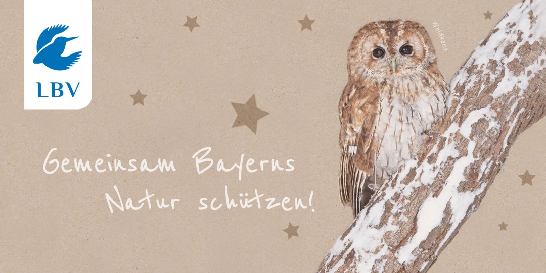 Geschenkumschlag