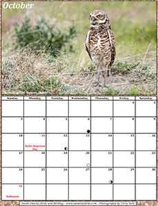 October 2021 Calendar - Burrowing Owl
