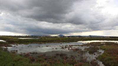 10parcgambia