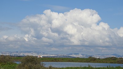 Br&uuml;cke &uuml;ber den Tejo