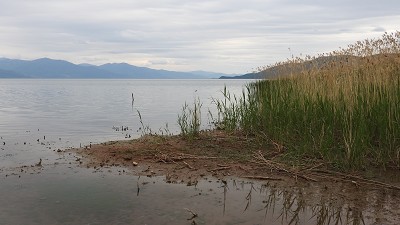 04prespasee