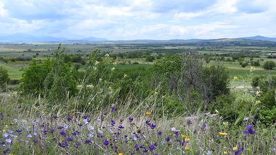 10steppe