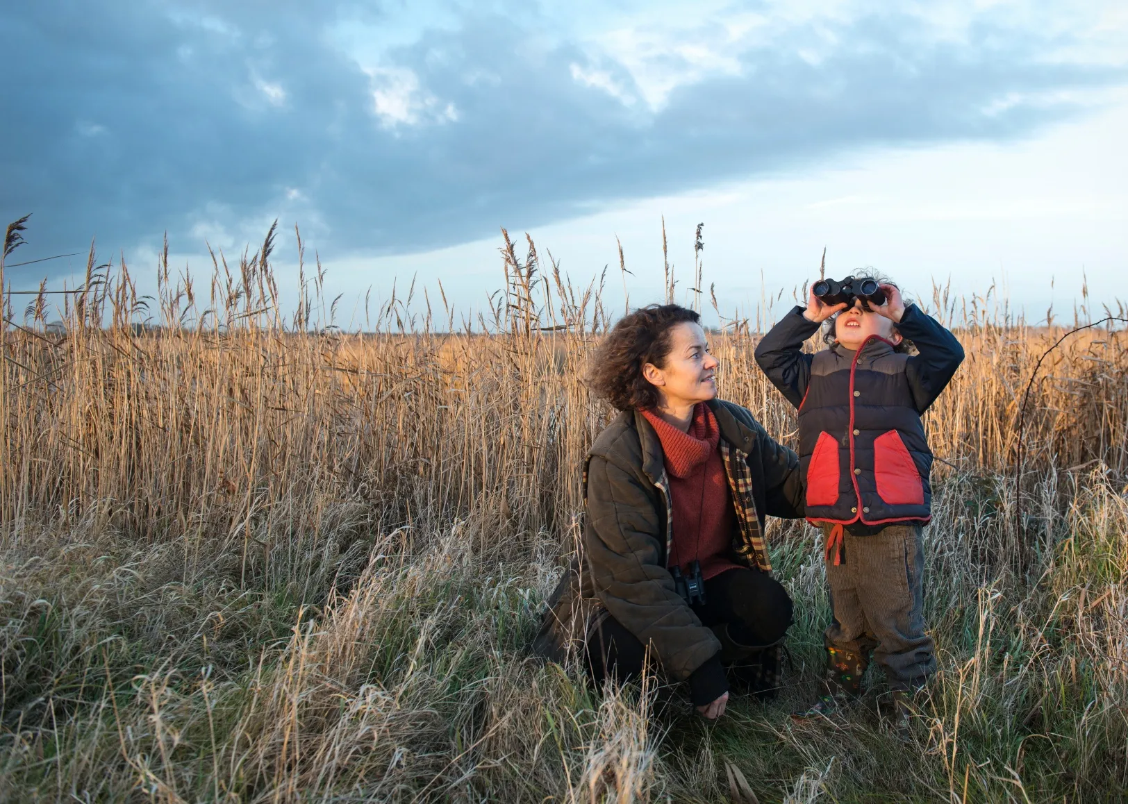 Waiting for the mumuration of starlings at the reed beds