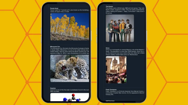 Screenshots von Xikipedia