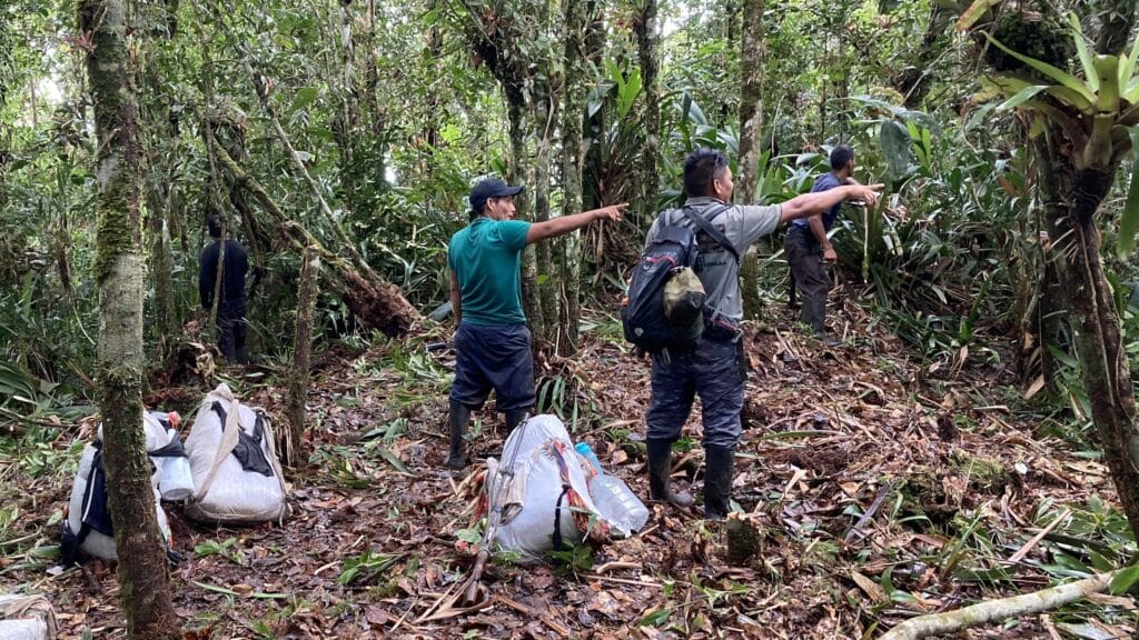 Birding Cerro Tacarcuna