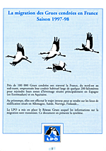 synthese-grues-97-98