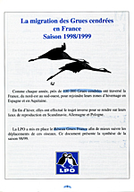 synthese-grues-98-99
