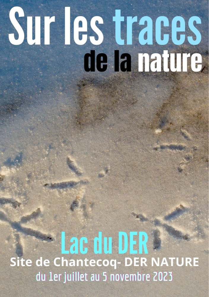 sur les traces de la nature 1