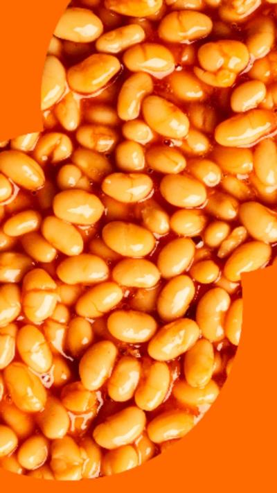 Image of orange baked beans.