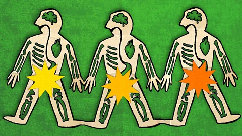 Cut-out collage of three beige skeletons with brains and hearts against a green background; orange and yellow stars covering their genitalia (Credit: Serenity Strull/ BBC)