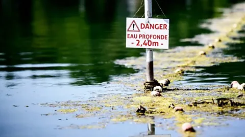 Newshour, Newshour, Europe heatwave: Drowning deaths soar in France