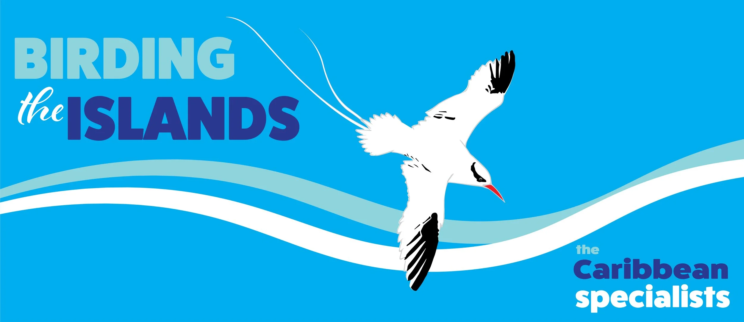 BIRDING THE ISLANDS website banner with type  UPDATED 2022 1500 x 650 pixels.jpg