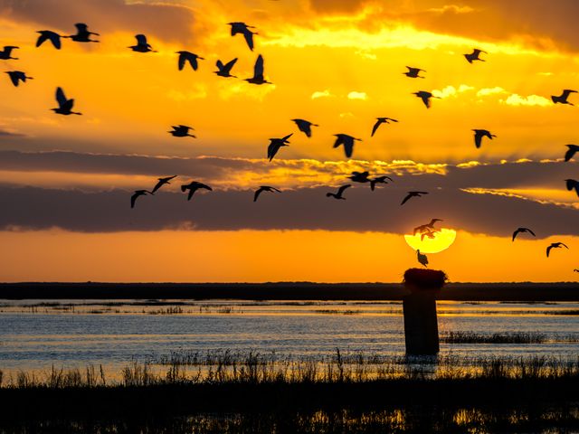 Doñana auténtica: cultura milenaria, riqueza natural y espiritualidad
