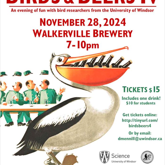2024-Science on Tap | Birds and Beers IV