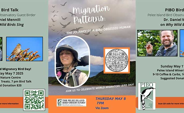 World Migratory Bird Day