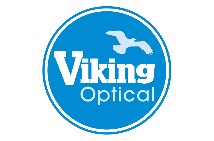 Viking logo