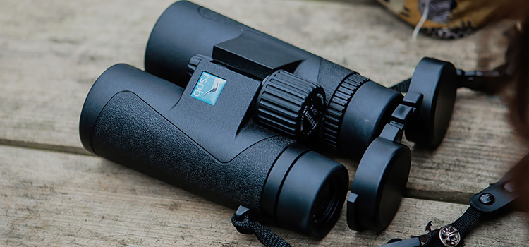 RSPB Binoculars on table