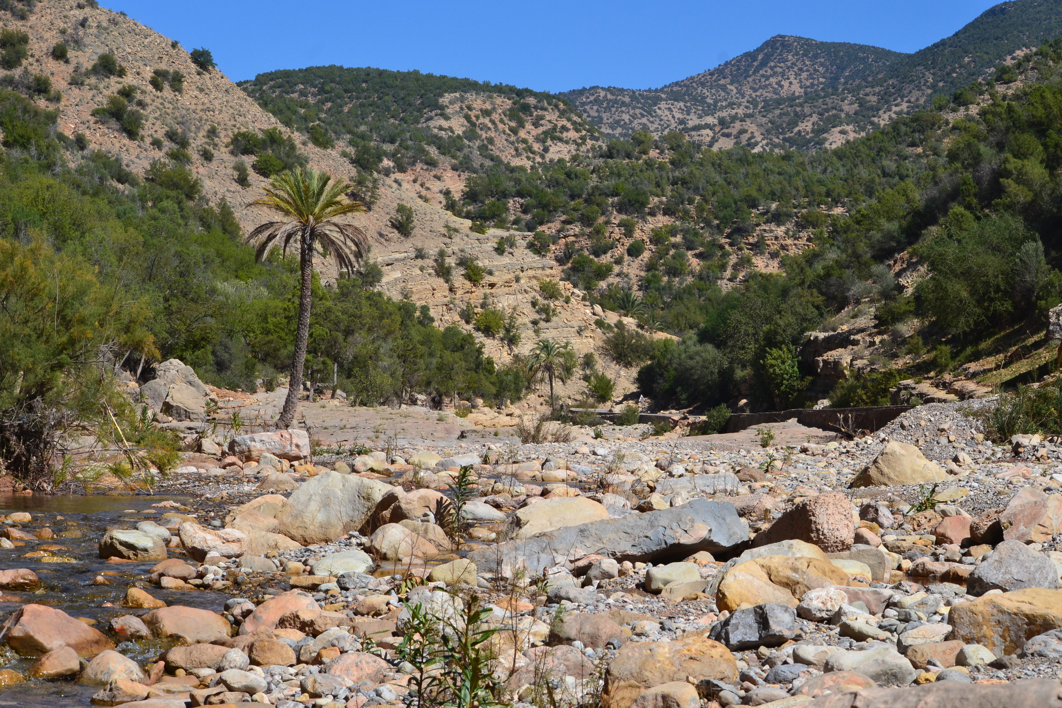 Paradise Valley