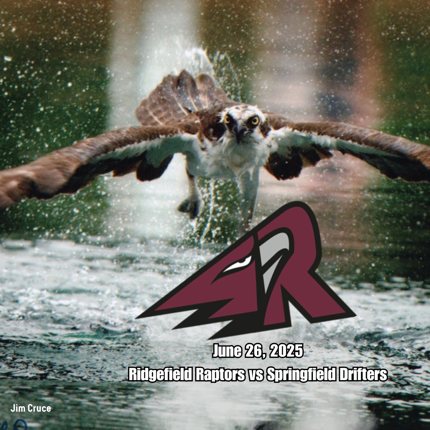 Osprey catching a fish in the water by Jim Cruce, edited to look like it is grabbing the Ridgefield Raptor's baseball logo and the text, Jun 26, 2025, Ridgefield Raptors vs Spingfield Drifters