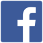 Facebook Domain Insights