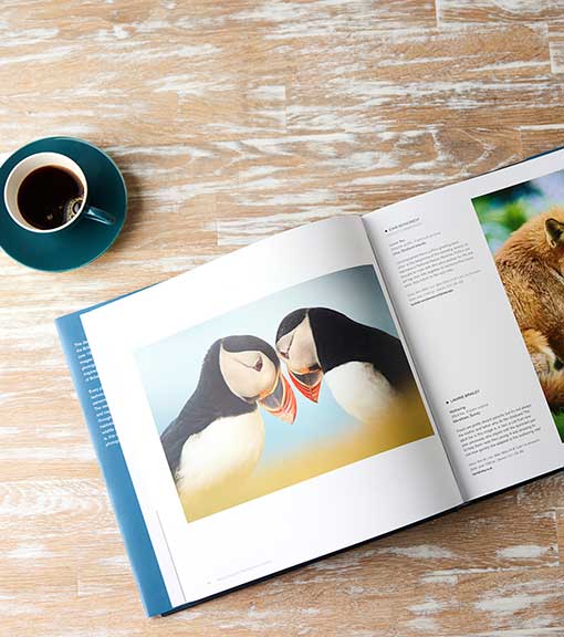 Gifts for bookworms 