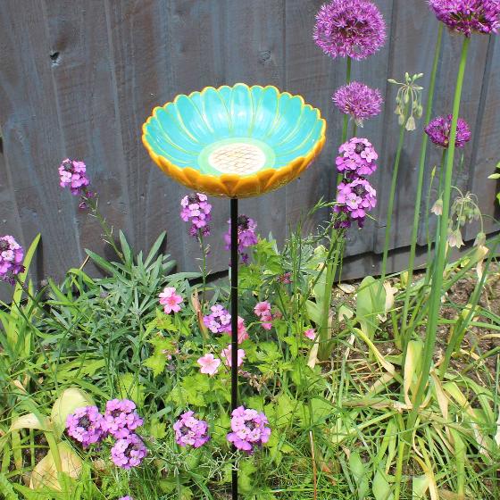 African Daisy Bird Drinker product photo default L