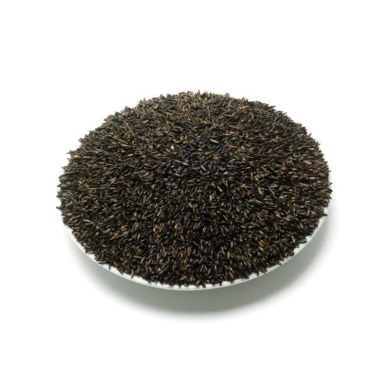 Nyjer seed 5.5kg product photo back L