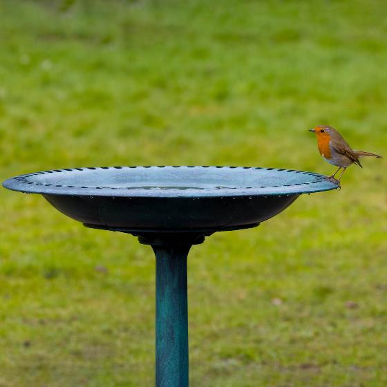 RSPB Bird bath product photo ai5 L