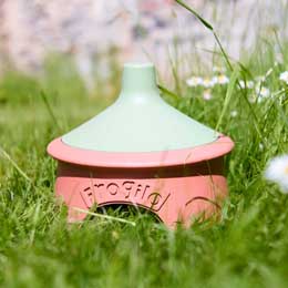 Eco frog and toad house product photo