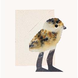 Hadley Paper Goods Lapwing chick greeting card product photo