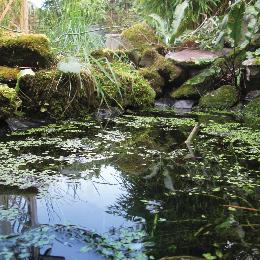 RSPB Pond liner kit, 2m x 2m product photo