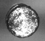 Californium, eit actinoid.
