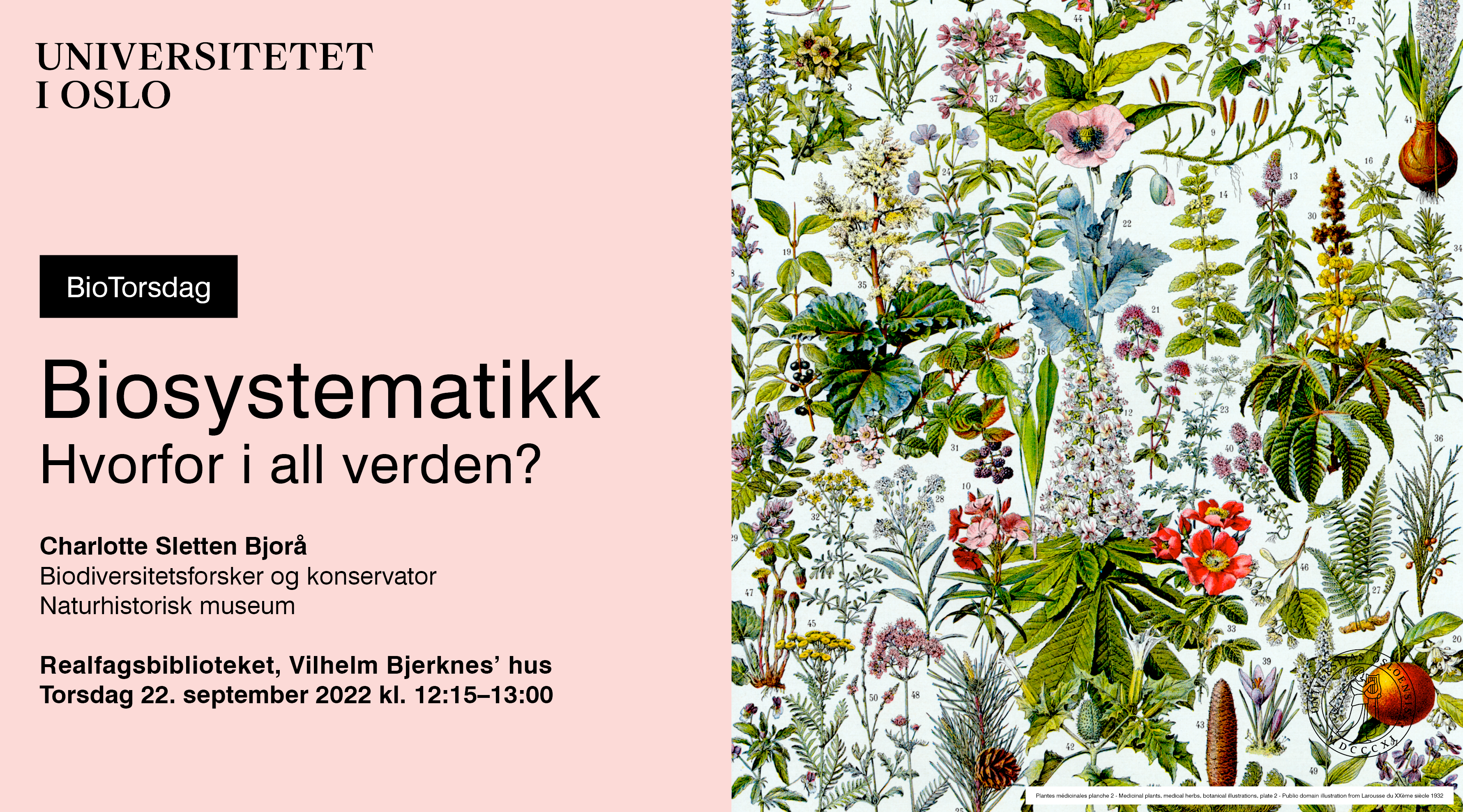 Bildet kan inneholde: planter