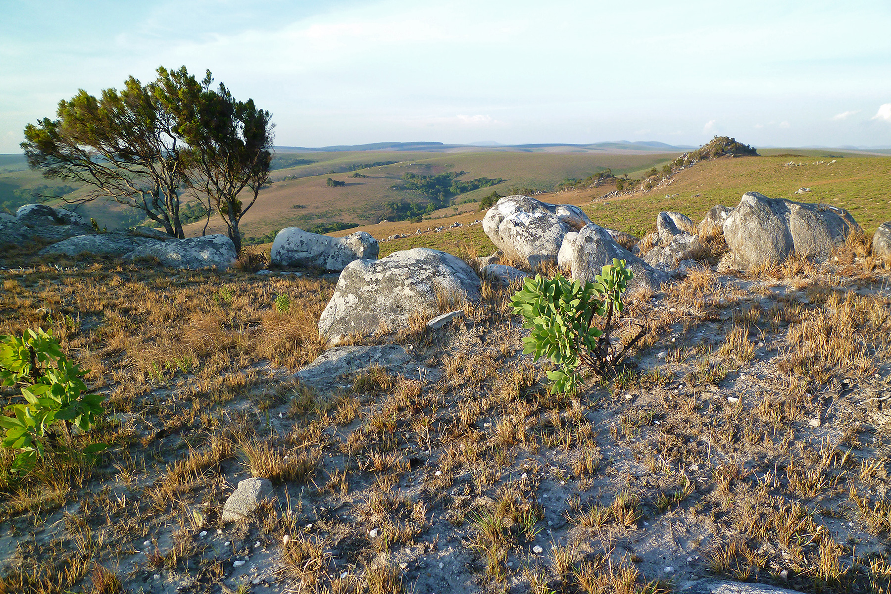 Nyika Plateau, Malawi (image by Nik Borrow)