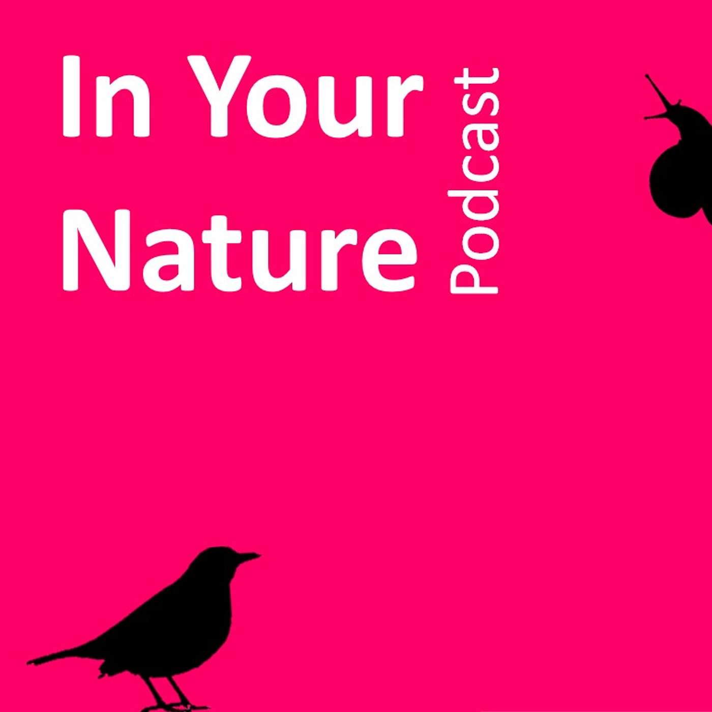 In Your Nature Artwork
