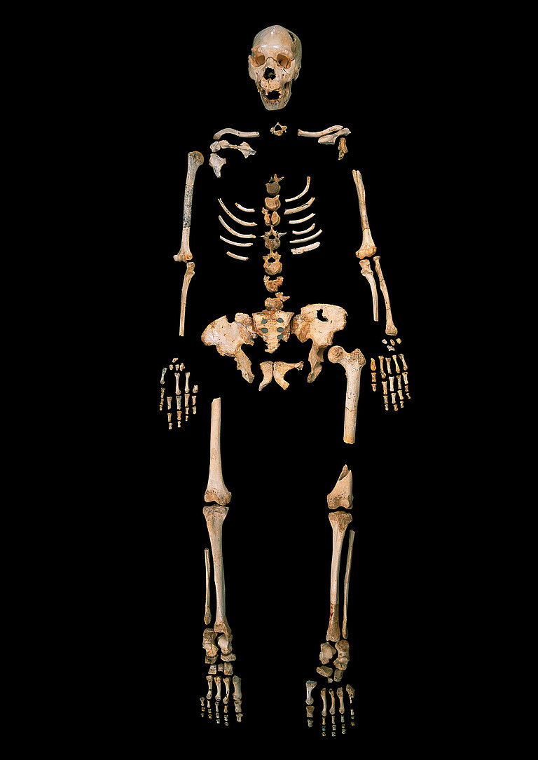 4_Homo_heidelbergensis__Sima_de_los_Huesos_Credit_Javier_Trueba_Madrid_Scientific_Films_01.jpg  