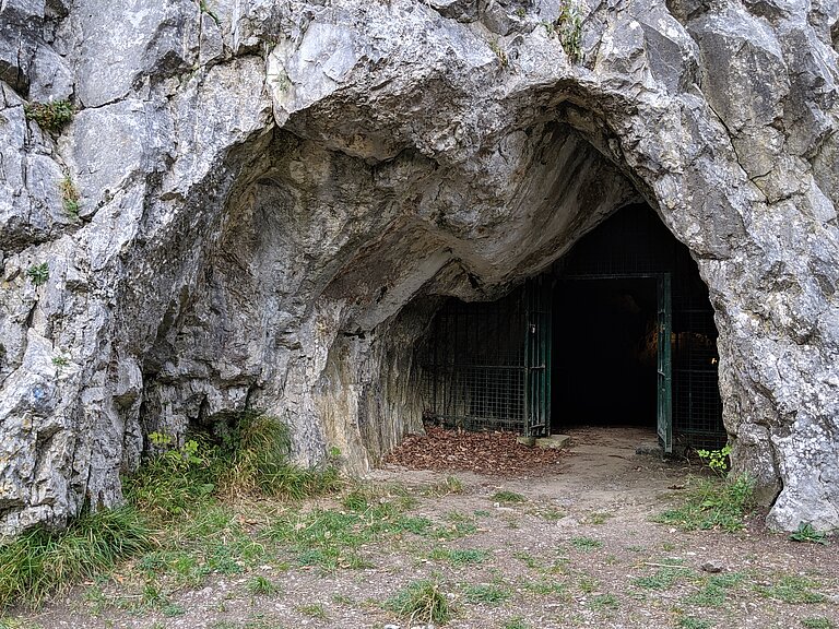 Entrance_to_Goyet.jpg  