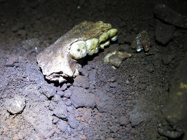 10_National_Geographic_Rising_Star_naledi_excavation_credit_Mathew_Berger.JPG  