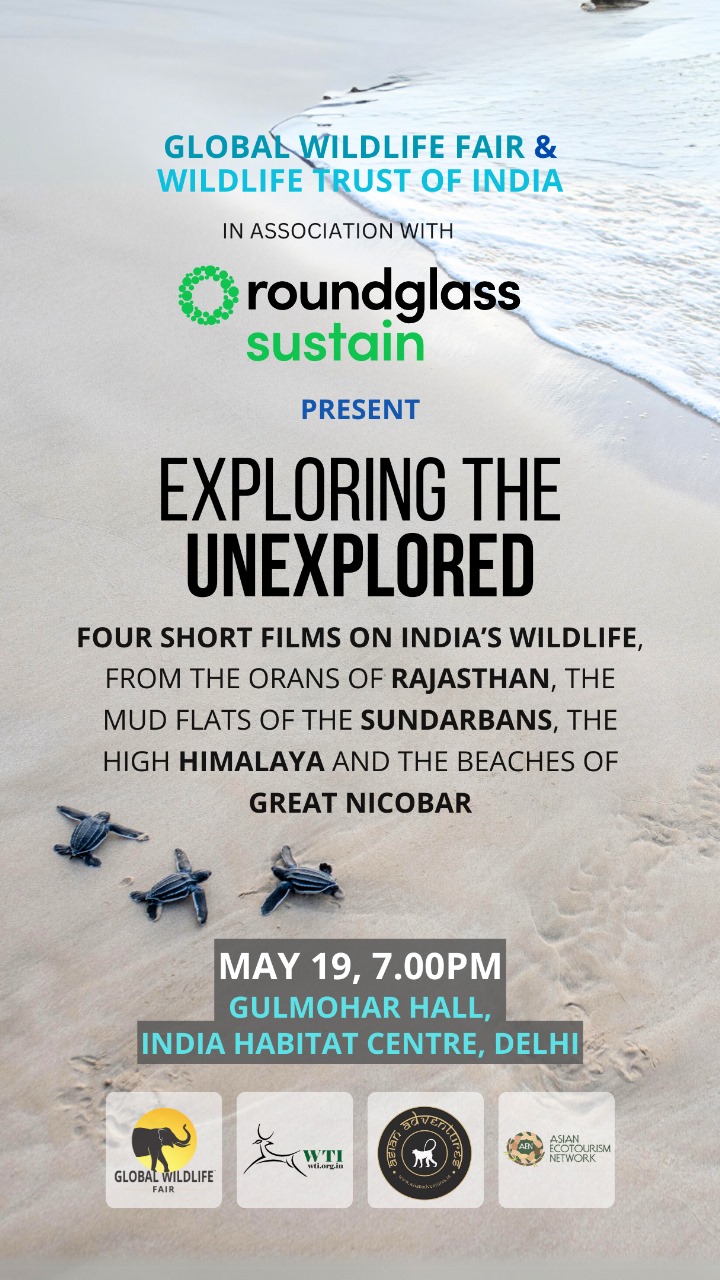 Exploring the Unexplored