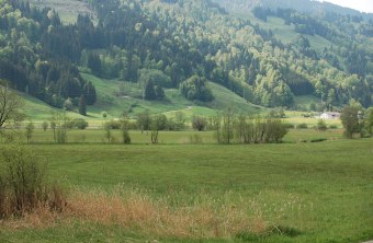 LBV Schutzgebiet Alpsee | © Eva Schubert