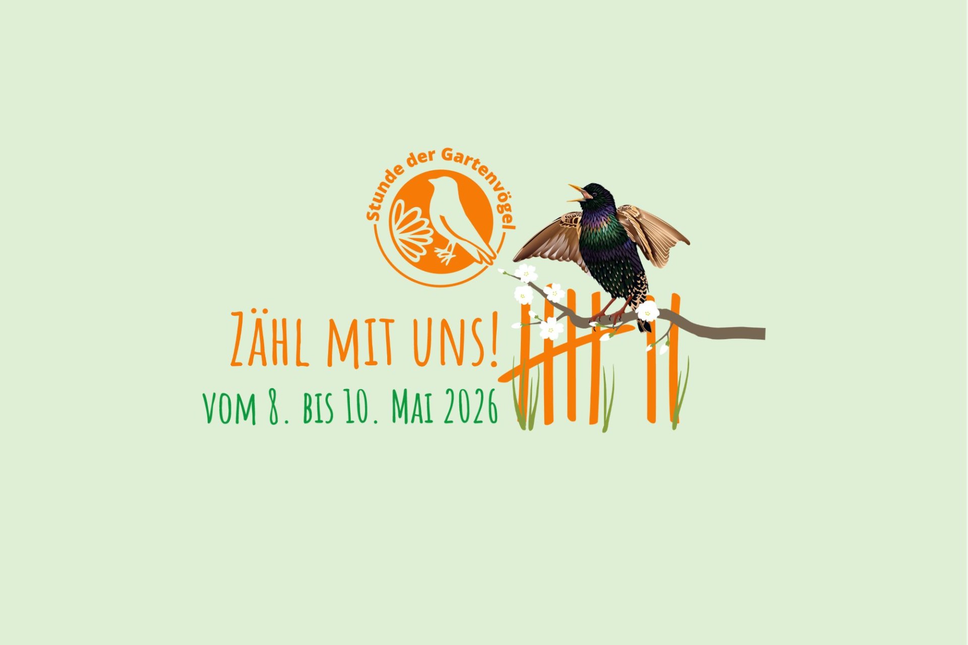 Headerbild Stunde der Gartenvögel in Bayern  mit einer stilisierten Blaumeise und dem Text Zähl mit uns. Vom 9.-12. Mai 2024