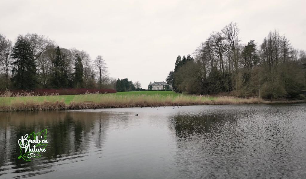Brab'en Nature #8 : Le domaine Solvay