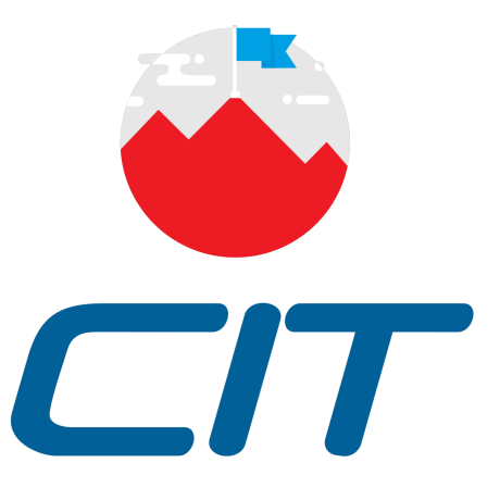 @citindia