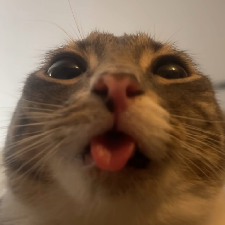 @SkidUnion0