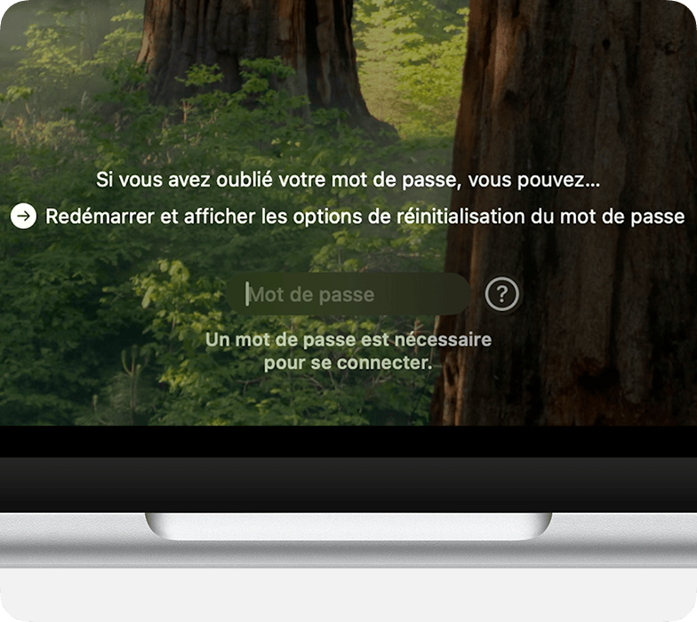 Options de réinitialisation de la fenêtre de connexion.