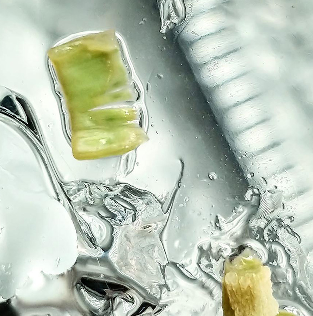 Living Carbon project image