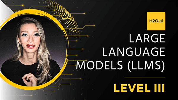 Large Language Models (LLMs) - Level 3