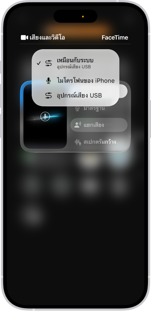 เมนูในศูนย์ควบคุมแสดงตัวเลือกแหล่งสัญญาณเข้าสำหรับการบันทึกเสียงและถ่ายวิดีโอฝั่งของคุณในการประชุมสายวิดีโอ