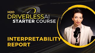 21. Interpretability Report / DAI Starter Course